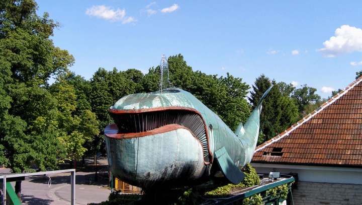 Visit to the Prater Whale 